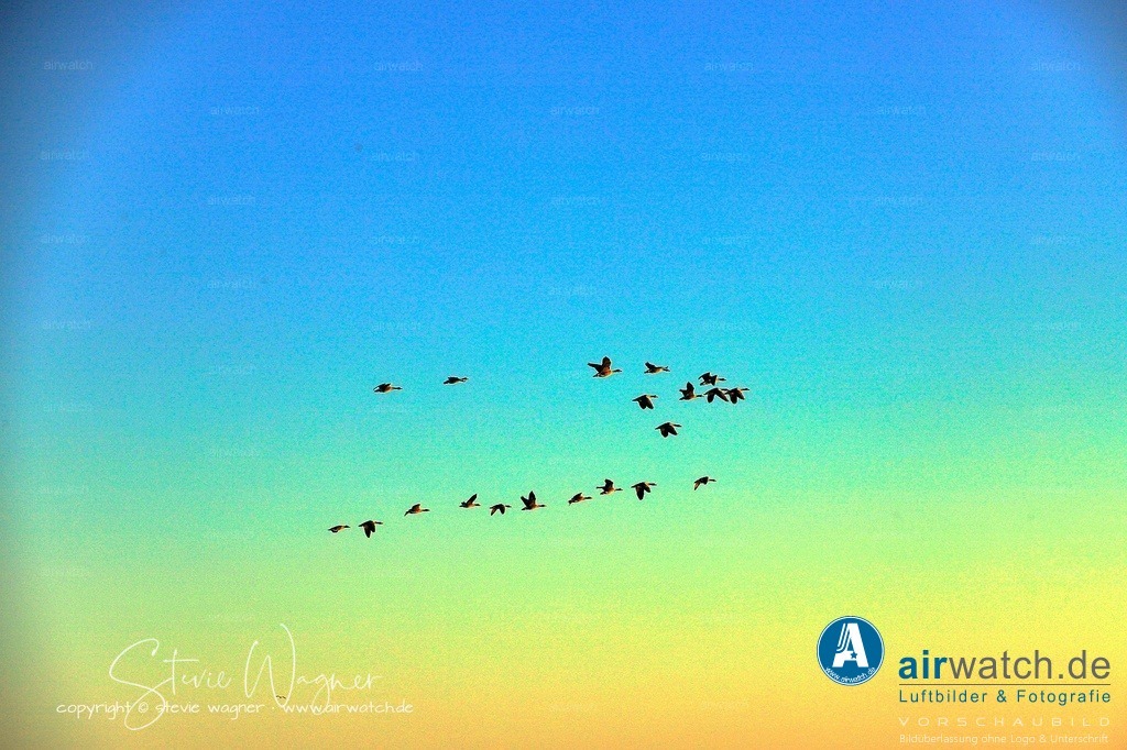 _MG_9170 | Entdecken Sie atemberaubende Luftbilder und Fotografien auf airwatch.de - Tauchen Sie ein in eine Welt voller faszinierender Aufnahmen aus der Vogelperspektive.