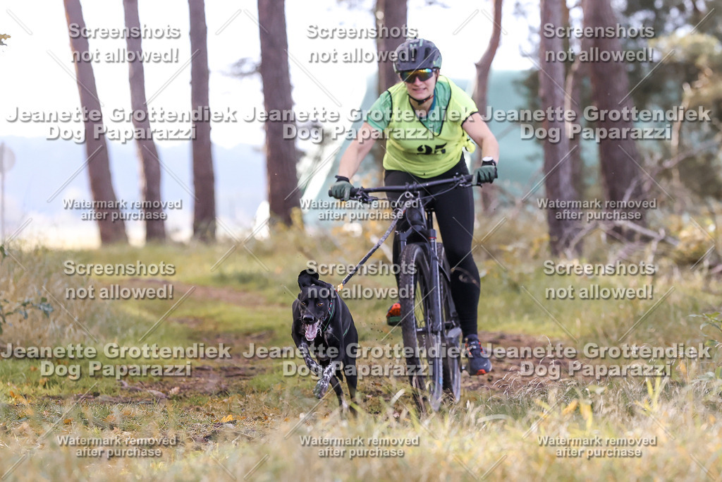 Dog Paparazzi - Elsholz 25 -115 | Dog Paparazzi Jeanette Grottendiek Fotografie & Videografie - Realisiert mit Pictrs.com