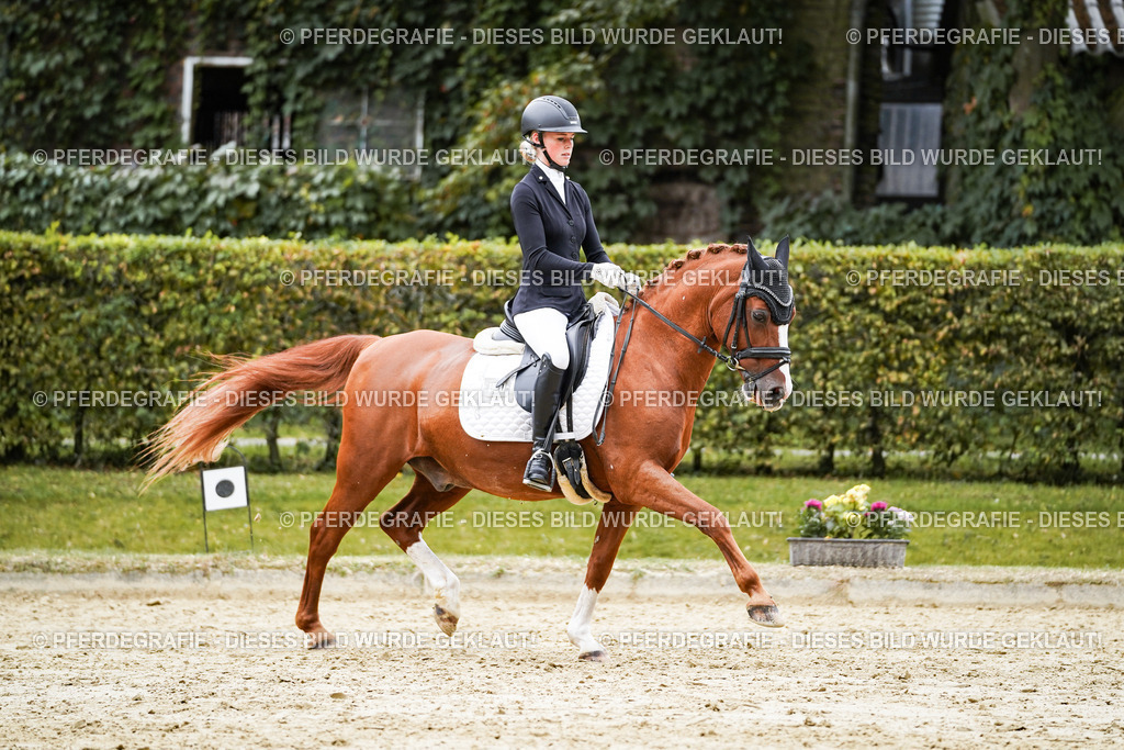 DSC08796 | Pferdegrafie