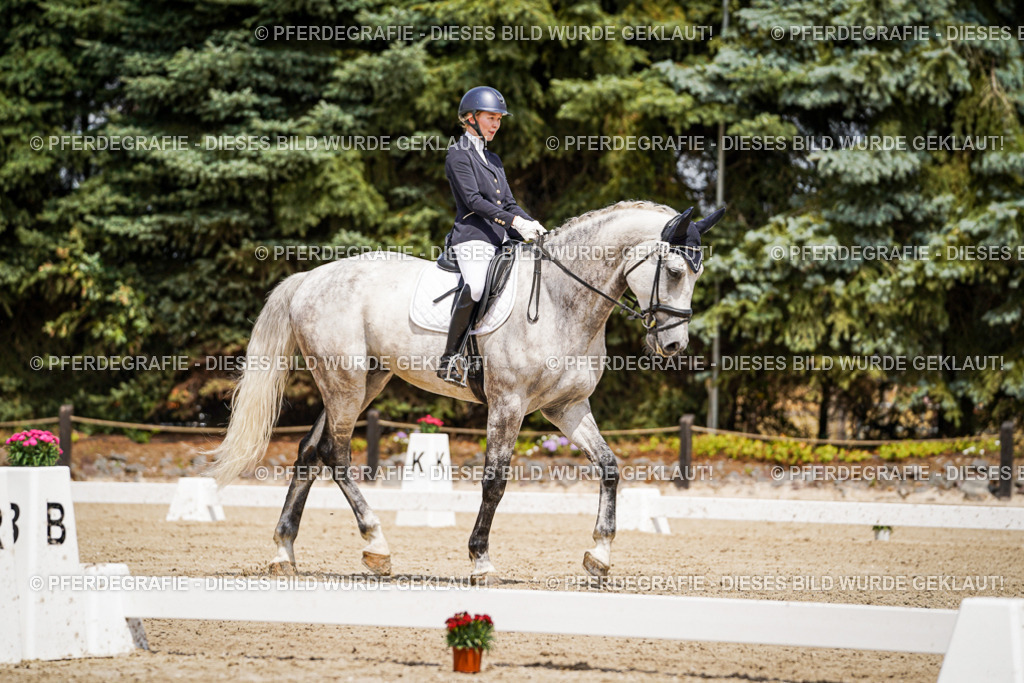 DSC02255 | Pferdegrafie