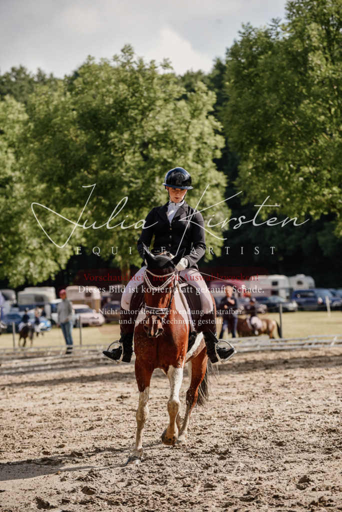 DSC_8757 | Pferde- und Turnierfotografie in Westsachsen. Pferdeportraits, Auftragszeichnungen und intuitive Kunst.