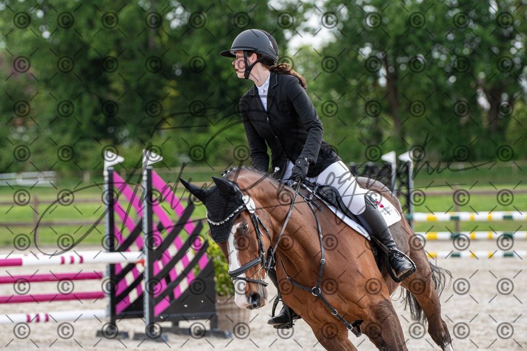 KPT_7737 | andre_photographic