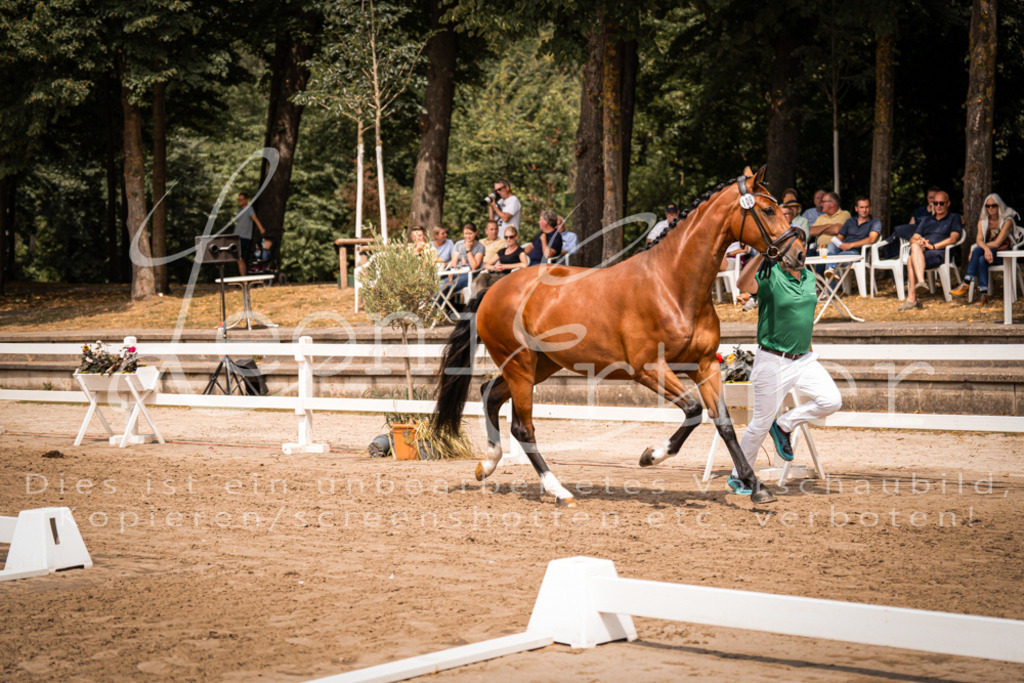 3.Fr00038 | Leoni Ertmer Photography - Realisiert mit Pictrs.com