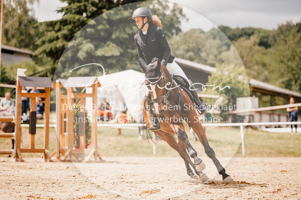 3I6A2355 | Stimmungsvolle Portraits und Reitsportfotografie im Ruhrgebiet und im Münsterland.

Pferdefotografie, Hundefotografie, Tierfotografie, Reportagen, Portraits von Tier und Mensch, Turnierfotografie in Bochum, Recklinghausen, Marl, Haltern am See, Dülmen.. - Realisiert mit Pictrs.com