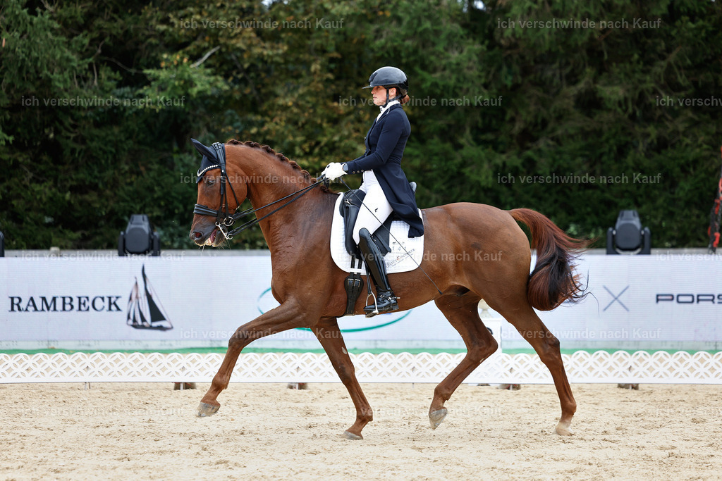 11-141-Dressur S___-Marixx-1818 | working equitationturnier fotograf videograf stoibphotography marixx film working equitation deutschland reitsport turnierfotografie eventfotografie equestrian events