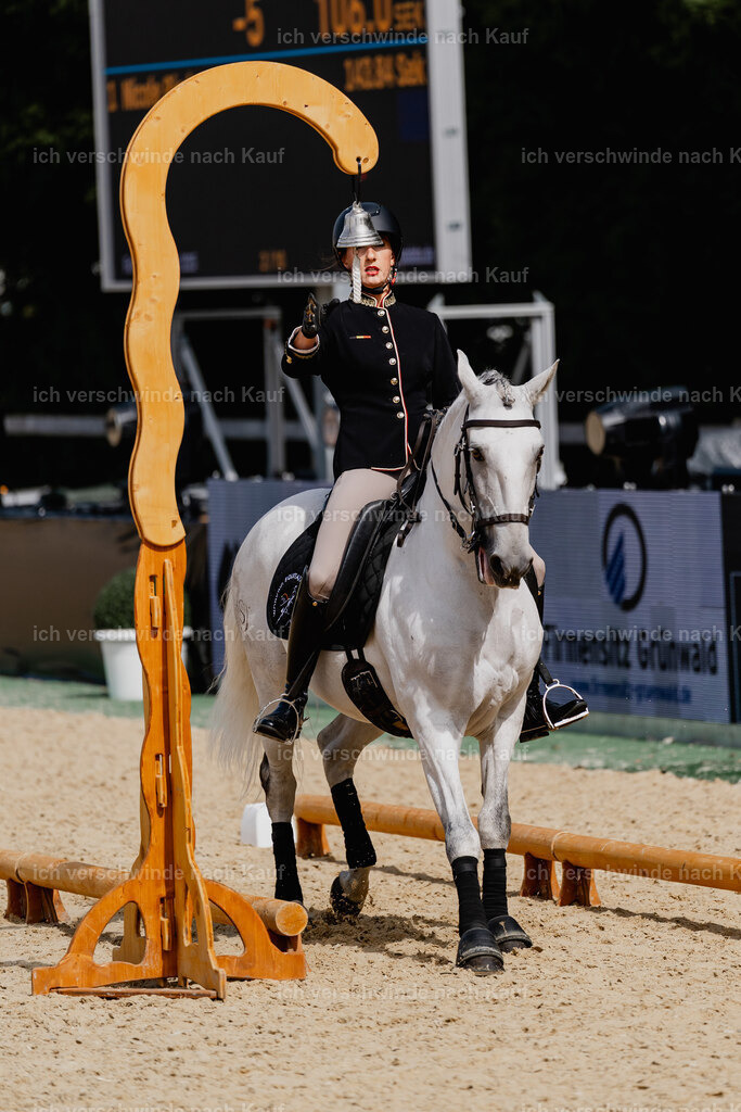 Virginie12FHC2025-2603 | working equitationturnier fotograf videograf stoibphotography marixx film working equitation deutschland reitsport turnierfotografie eventfotografie equestrian events