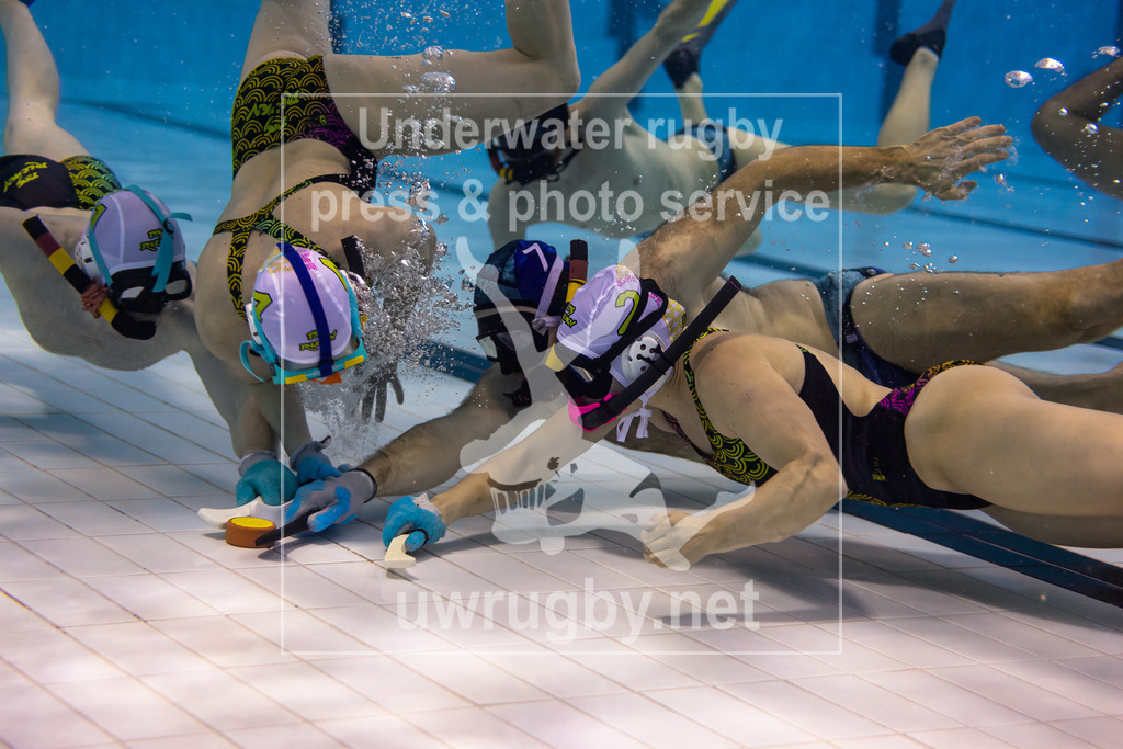 Unterwasser-Hockey: Rückrunde Liga 2023/2024 - Bild 22 | Spiel um Platz 3: TCO Weinheim 1 in blau gegen TSG Frechen in weiß. - Realisiert mit Pictrs.com