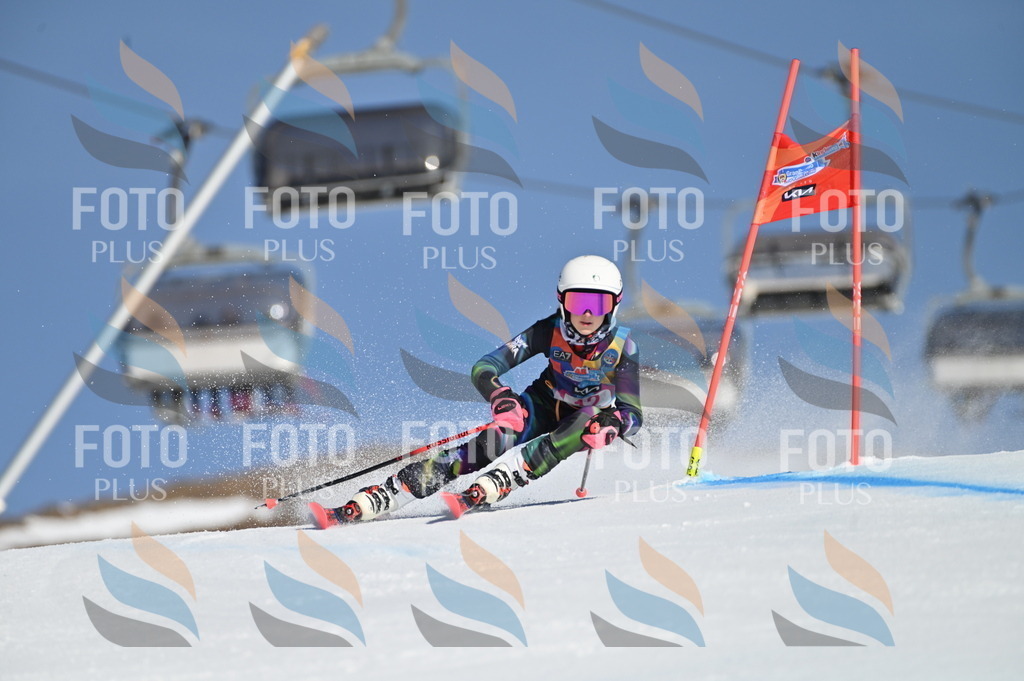 BGV_7787 | holidayphoto