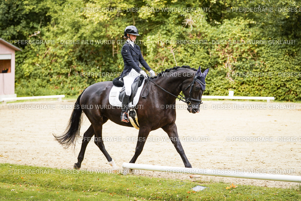 DSC09858 | Pferdegrafie