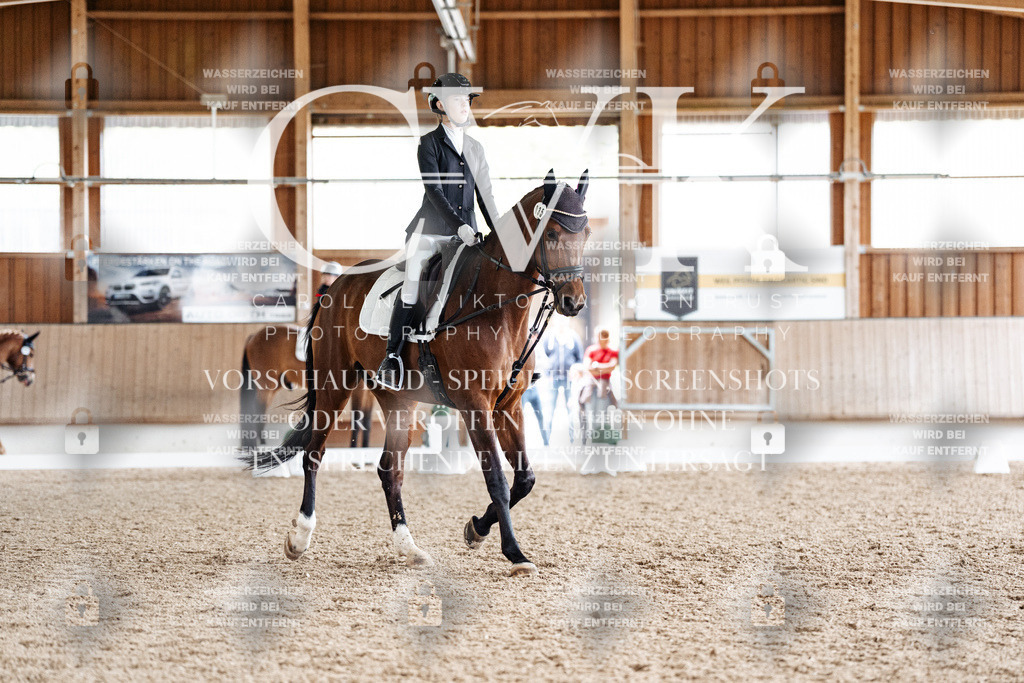 CK900677 | Turnierfotografie Pferdefotografie Trier Rheinland-Pfalz Pferdesport Reitsport Tierfotografie Sportfotografie Pferdevideo Pferdevideografie Equestrianvideography equestrianphotography  - Realisiert mit Pictrs.com
