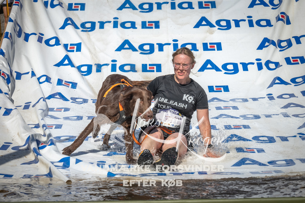 1547_ZZ97235 | kk-dogfotos