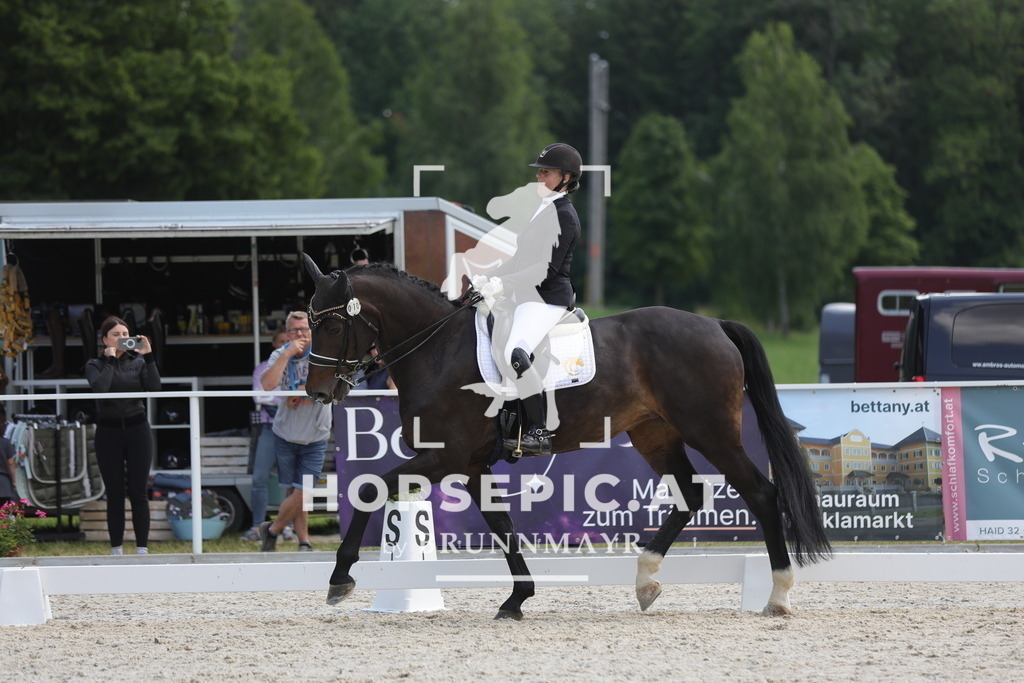 0P6A0231 | Willkommen bei Brunnmayr - Design & Fotografie – Ihrem Spezialisten für Reitturniere und Pferdeveranstaltungen in Oberösterreich, Salzburg und Bayern! Seit über 17 Jahren sind wir leidenschaftlich dabei.