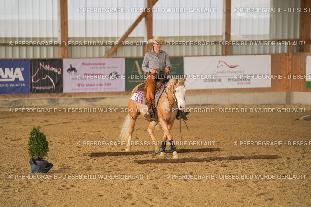 DSC01347 | Pferdegrafie