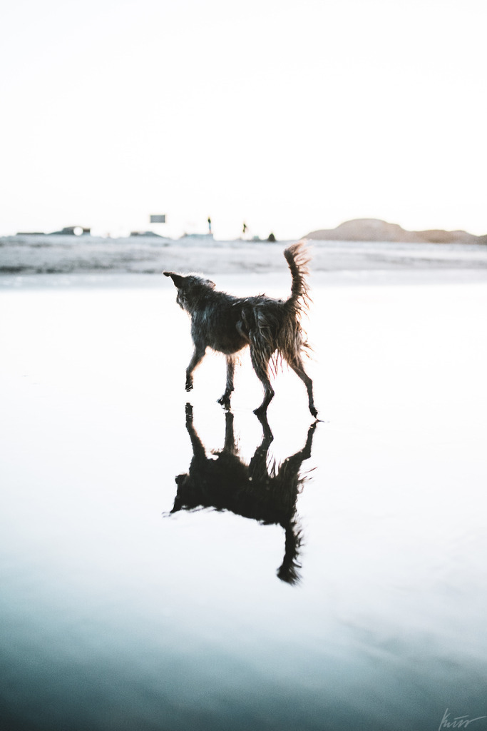 _DSC0450-2 | In meinem Onlineshop biete ich nur sehr kritisch ausgewählte Fotografien an. Diese sind von meinen Reisen oder Kurztrips. Ich habe sie ausgewählt, da diese meiner Meinung Nach wunderbare Wandbilder darstellen.  - Realisiert mit Pictrs.com