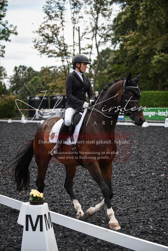 DSC_4593 | Pferde- und Turnierfotografie in Westsachsen. Pferdeportraits, Auftragszeichnungen und intuitive Kunst.