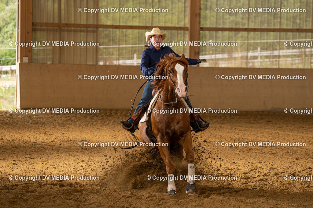 LAU01515 | dv-media-shop - Realisiert mit Pictrs.com