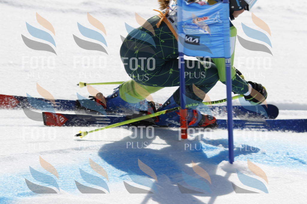 _U3G0592 | holidayphoto