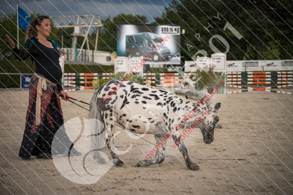 DSC_0014 | Sport-, Event- und Tierfotos in Profiqualität. Einfach auswählen, bestellen und herunterladen. Dein Moment – perfekt festgehalten.