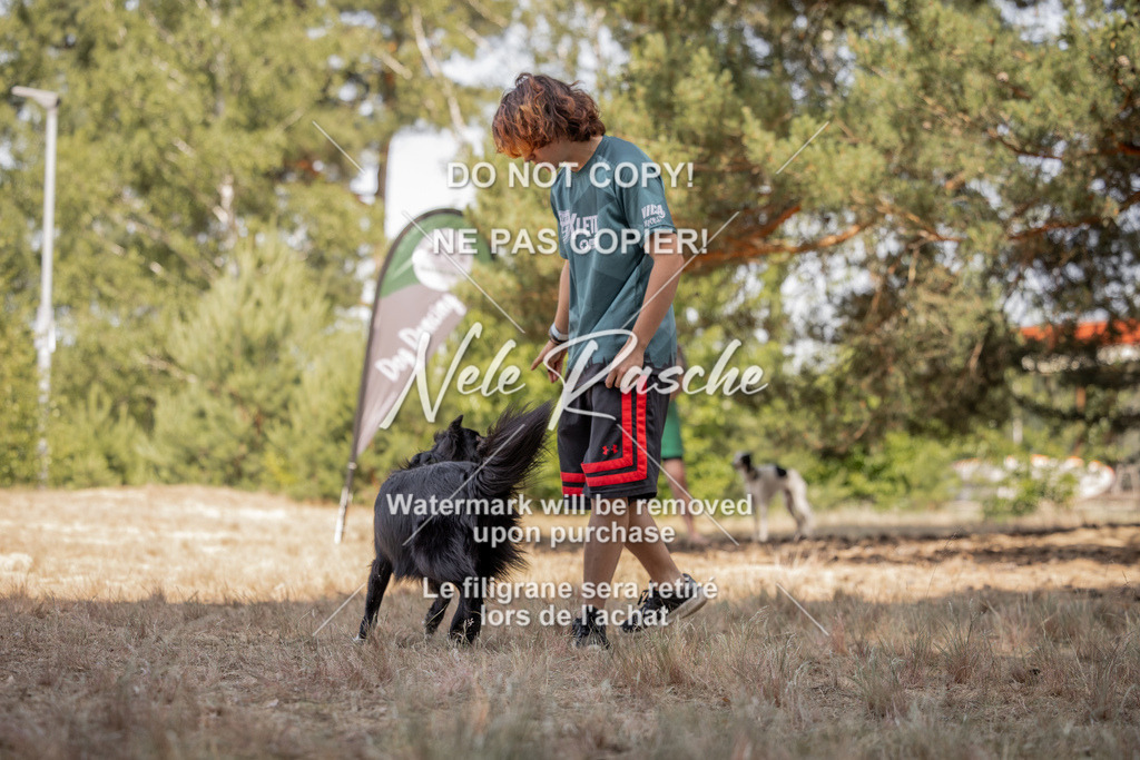 nelerasche_soDD2_315 | nelerasche
