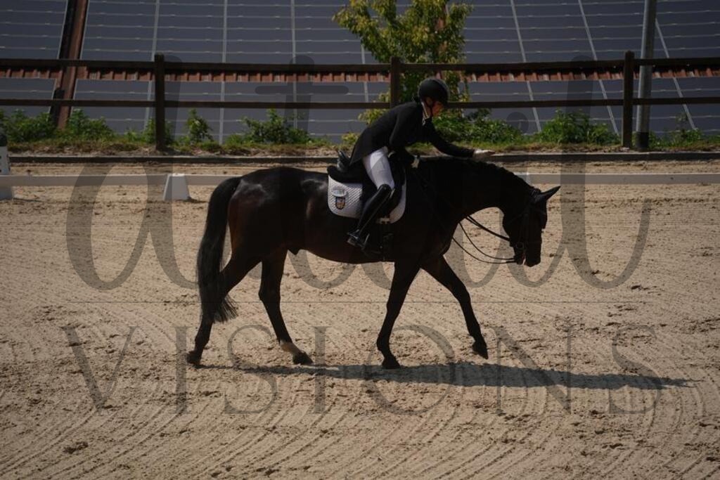 tgbhfreitag (1181) | d.tail Visions - Shop - Realisiert mit Pictrs.com