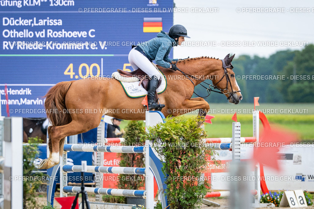 DSC03497 | Pferdegrafie