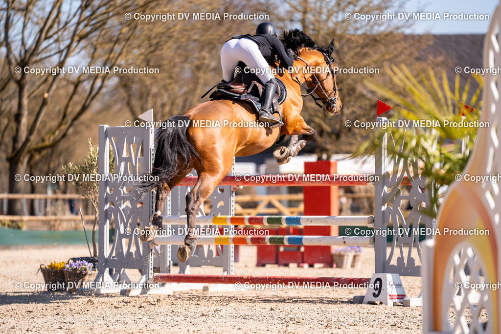 Kranichstein Tag 2-777 | dv-media-shop - Realisiert mit Pictrs.com