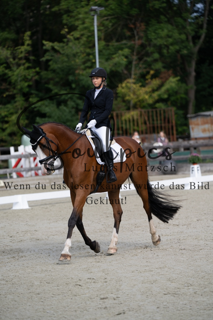 A7V06827 | Turnier/Reitfotograf