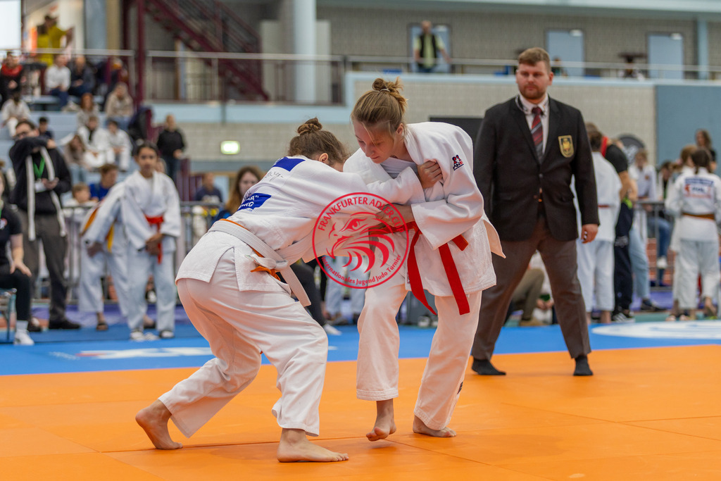 Internationaler Adler Cup 2024 | Foto vom Internationalen Adler Cup Judo Turnier im Sport- und Freizeitzentrum Kalbach im Oktober 2024 - Realisiert mit Pictrs.com