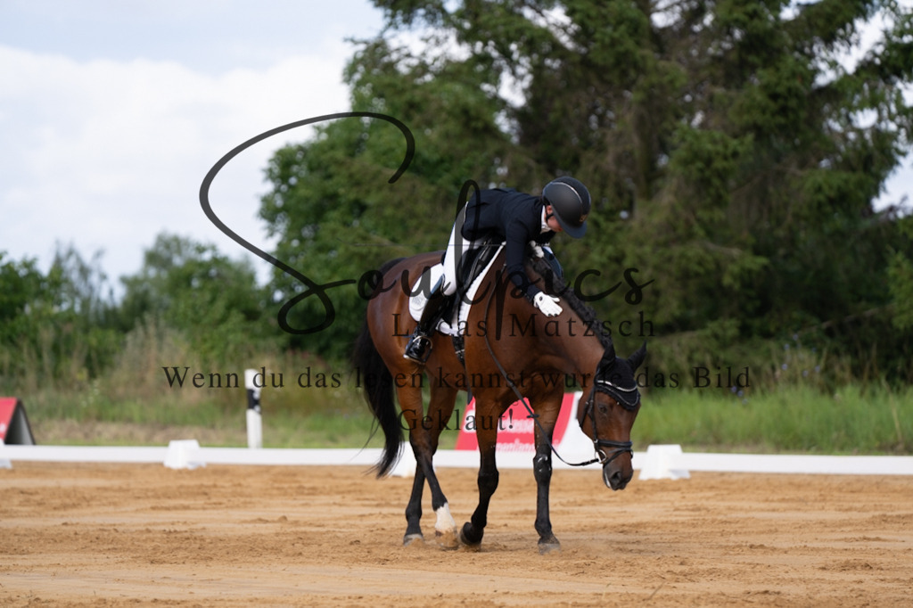 A7V05122 | Pferdefotograf