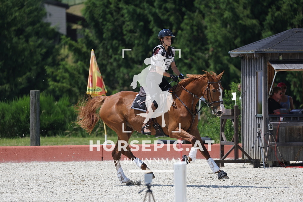 0P6A8224 | Willkommen bei Brunnmayr - Design & Fotografie – Ihrem Spezialisten für Reitturniere und Pferdeveranstaltungen in Oberösterreich, Salzburg und Bayern! Seit über 17 Jahren sind wir leidenschaftlich dabei.