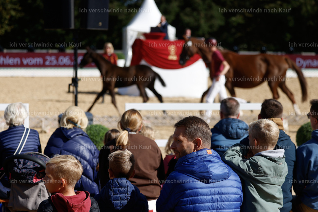 _AM19095 | working equitationturnier fotograf videograf stoibphotography marixx film working equitation deutschland reitsport turnierfotografie eventfotografie equestrian events