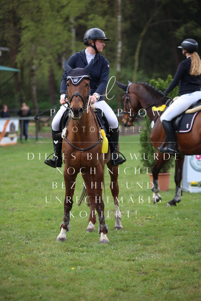 IMGT3308 | pl-fotografie