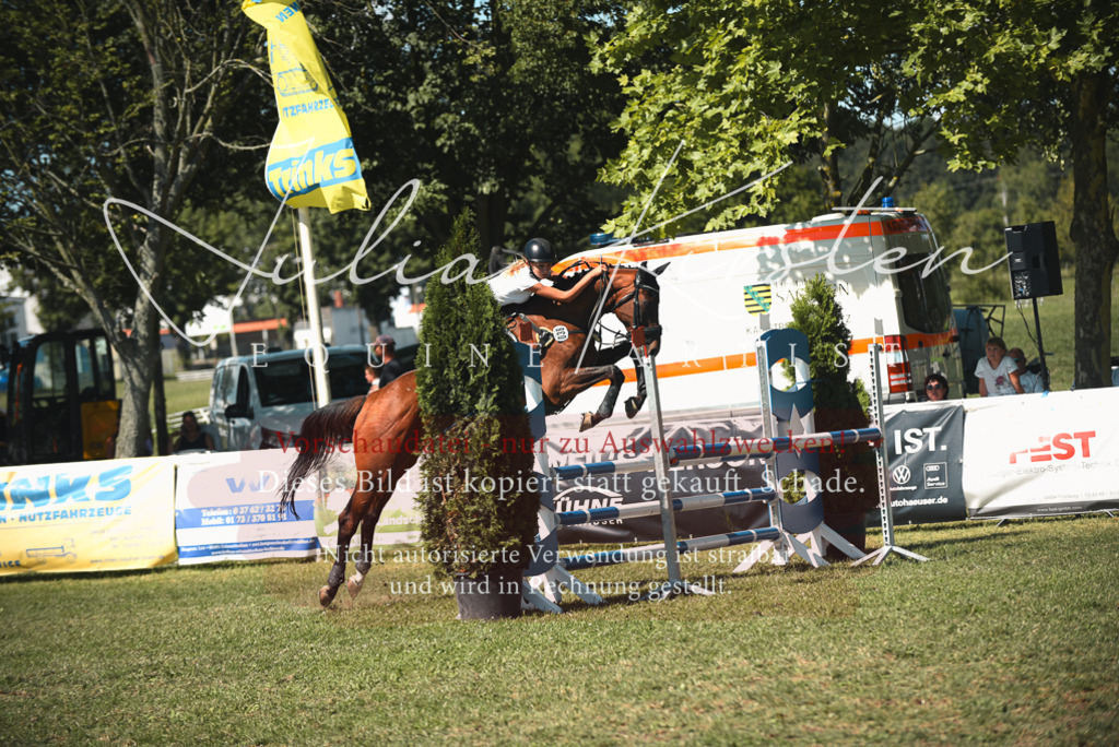 DSC_7025 | Pferde- und Turnierfotografie in Westsachsen. Pferdeportraits, Auftragszeichnungen und intuitive Kunst.