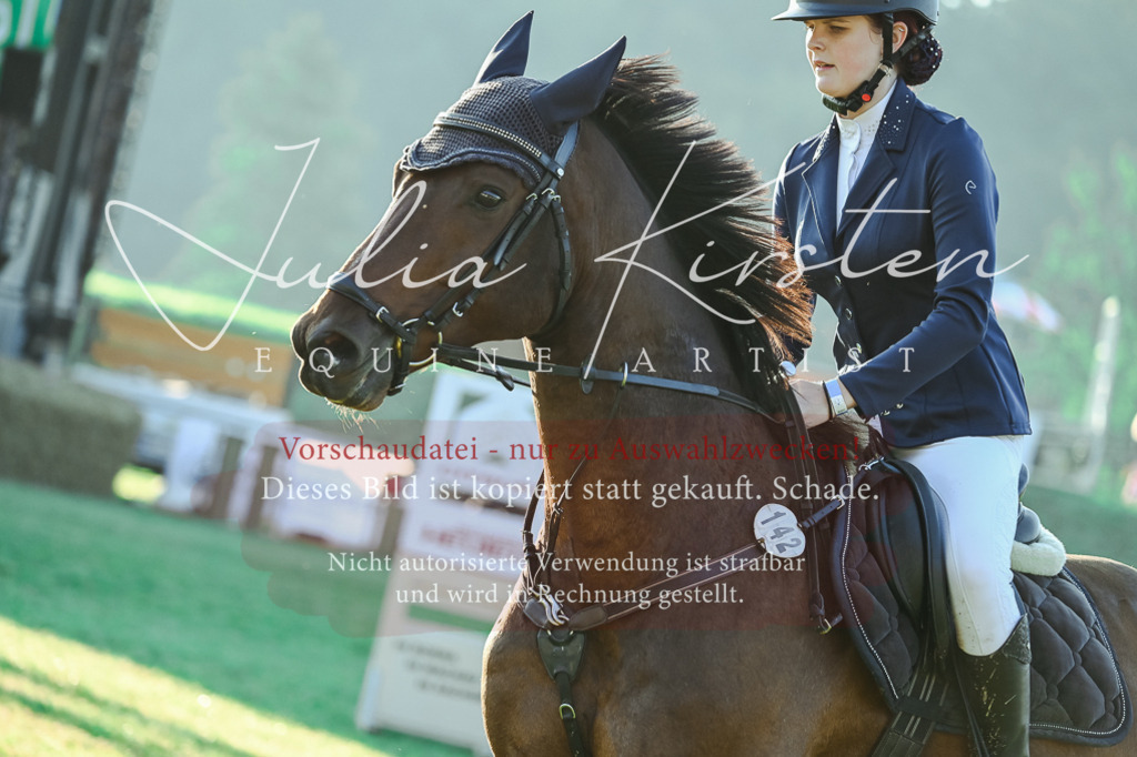 DSC_3959 | Pferde- und Turnierfotografie in Westsachsen. Pferdeportraits, Auftragszeichnungen und intuitive Kunst.