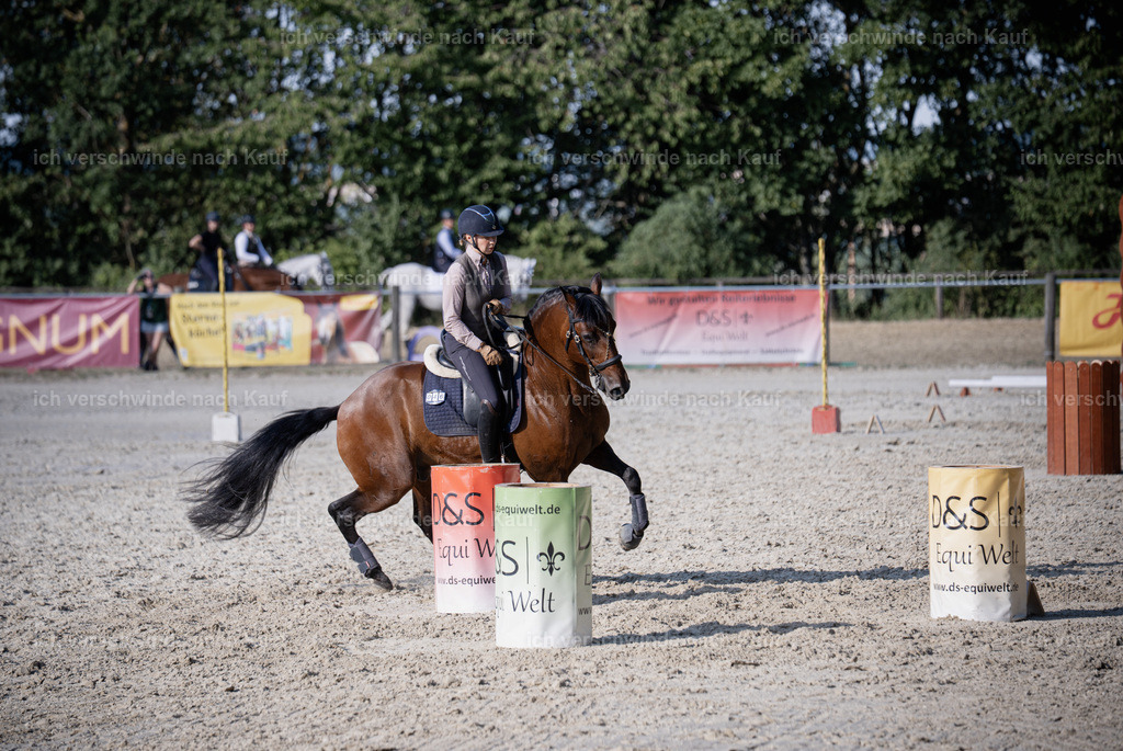 WS_SP_46_SinaFilmArt_IN09454 | working equitationturnier fotograf videograf stoibphotography marixx film working equitation deutschland reitsport turnierfotografie eventfotografie equestrian events