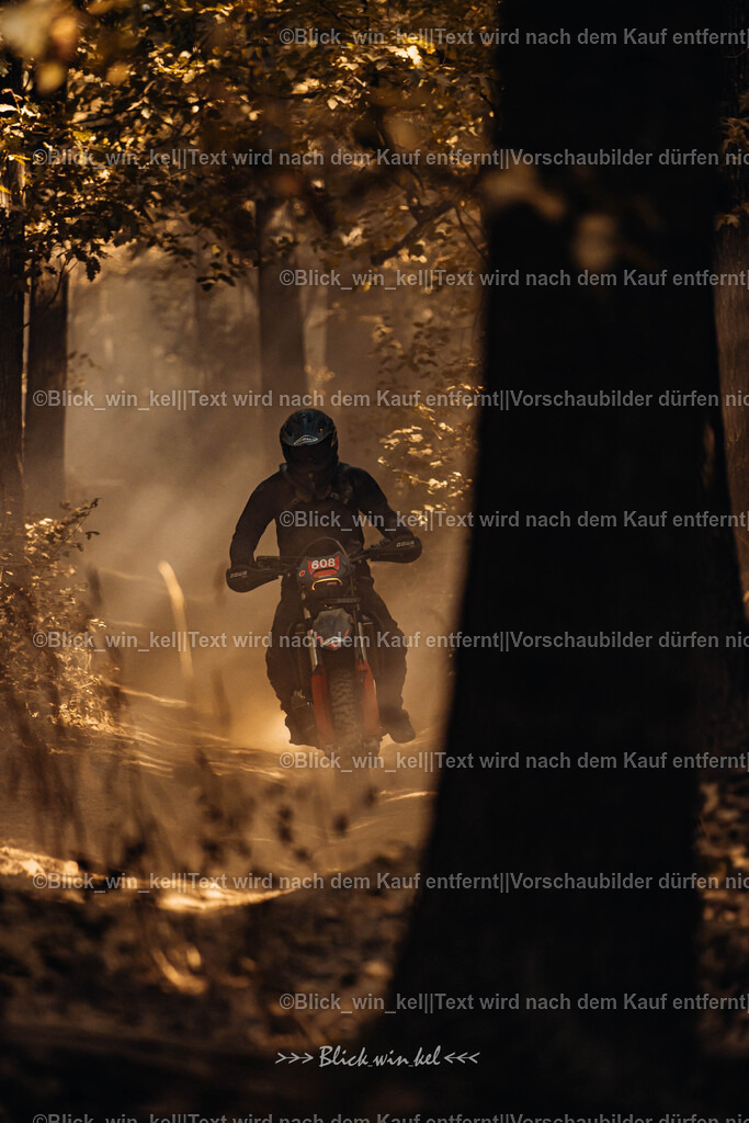 E68A8026 | blick_win_kel