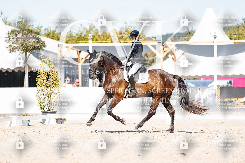 CK908573 | Turnierfotografie Pferdefotografie Trier Rheinland-Pfalz Pferdesport Reitsport Tierfotografie Sportfotografie Pferdevideo Pferdevideografie Equestrianvideography equestrianphotography  - Realisiert mit Pictrs.com