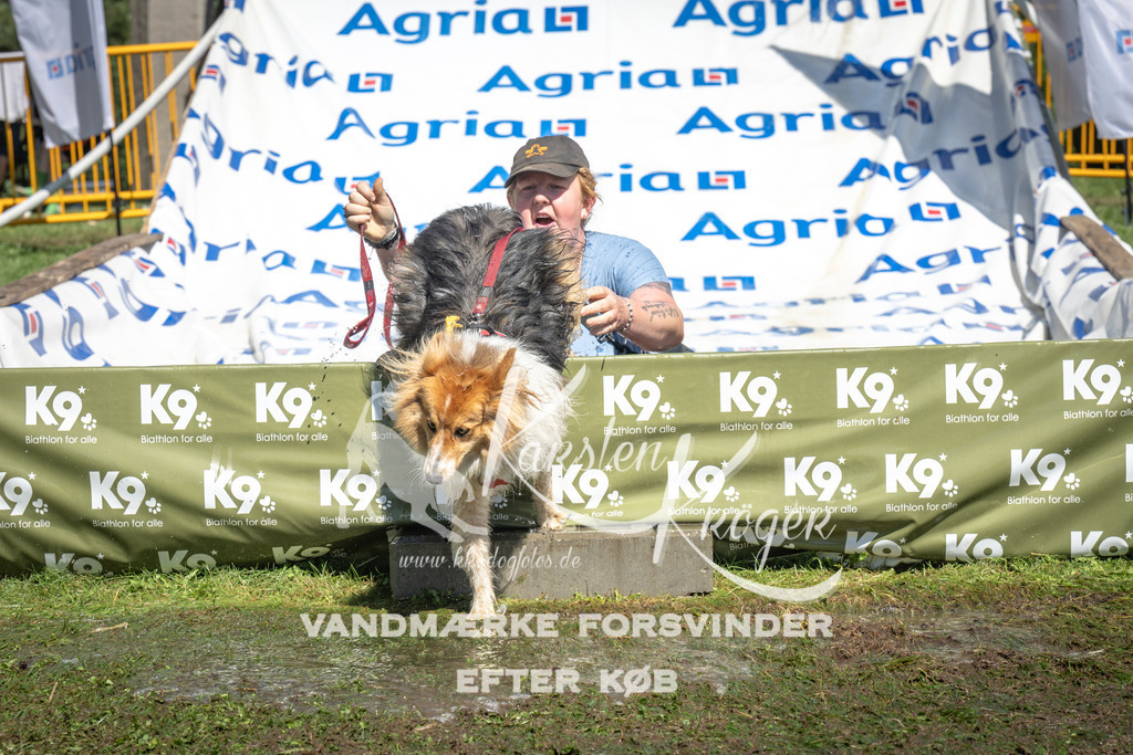 1359_ZZ91998 | kk-dogfotos