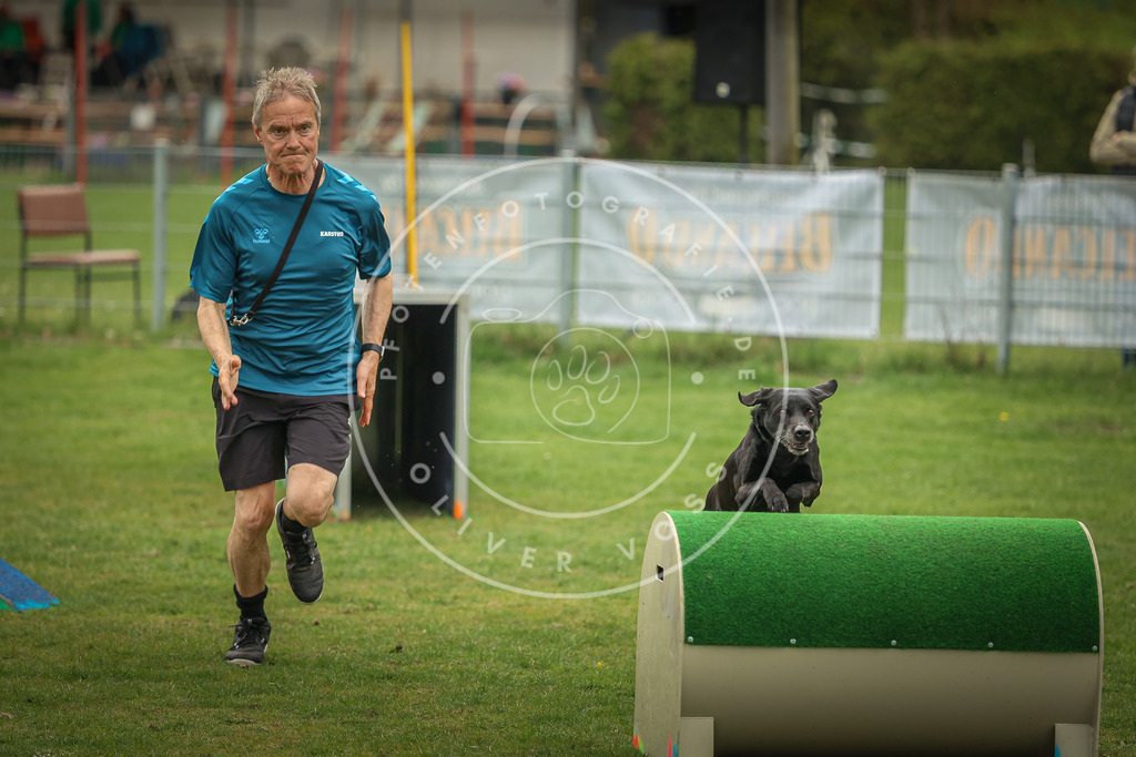 Pfotenfotografie_0L8A1520 | Hundefotografie, Tierfotograf, Pfotenfotografie, Fotoshooting Hund, Hunde Portrait, Hundesport, Hundeportraits, Heideshooting, Hunde, Sportfotograf, Hundefotograf, Turnierhundsport, THS,  - Realisiert mit Pictrs.com