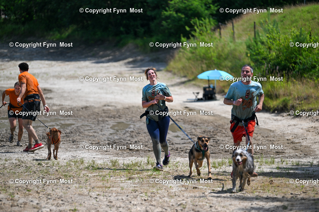 DSC_1759 | Hallo und herzlich Willkommen auf meiner Shop-Seite Fynn Most.

Ich wünsche Dir viel Spaß beim stöbern durch die Bilder, wenn Du Fragen hast oder Bilder vermisst, kannst du mir gerne eine Nachricht schreiben. - Realisiert mit Pictrs.com