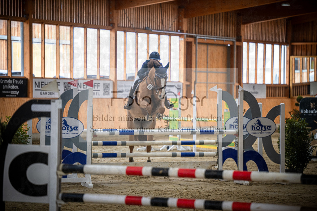 DOS_1212 | Entdecke hochwertige Reitturnierfotos von Foto Oger. Professionell, emotional und authentisch – jetzt Lieblingsmomente im Shop bestellen.Deutschlandweite Turnierfotografie. - Realisiert mit Pictrs.com