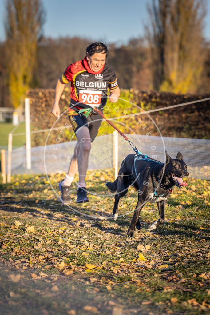 CaniXpix_DV3A4767 | Hundefotografie, Tierfotograf, Pfotenfotografie, Fotoshooting Hund, Hunde Portrait, Hundesport, Hundeportraits, Heideshooting, Hunde, Sportfotograf, Hundefotograf, Turnierhundsport, THS,  - Realisiert mit Pictrs.com