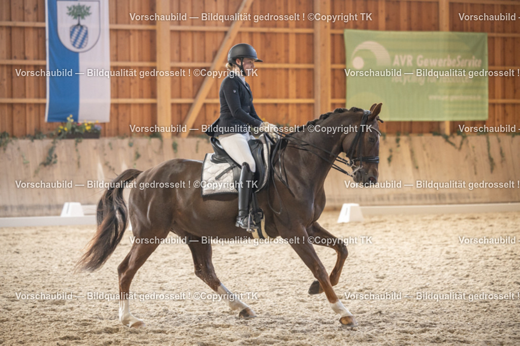 _D5A6285 | Emotionale Pferde- & People-Fotografie rund um Heidelberg, Leimen & Umgebung. Natürliche Fotos von Pferd, Mensch & Familie. Jetzt Termin sichern!