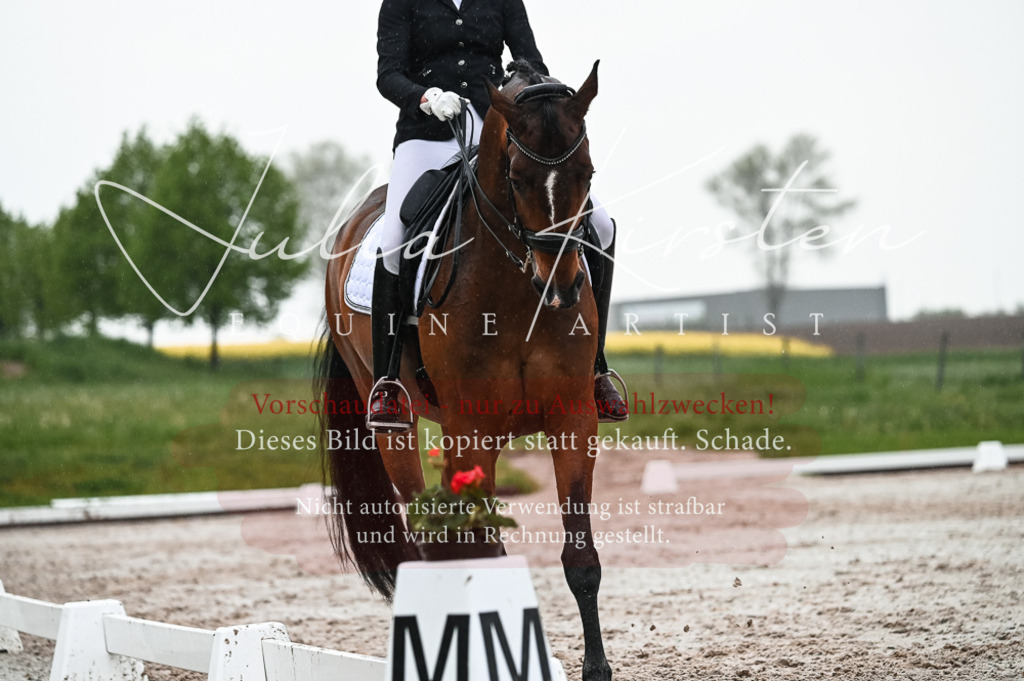 DSC_4580 | Pferde- und Turnierfotografie in Westsachsen. Pferdeportraits, Auftragszeichnungen und intuitive Kunst.