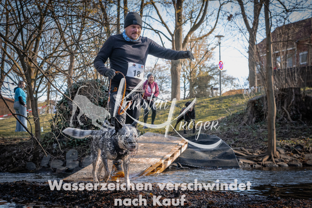 0818_ZZ90564 | kk-dogfotos