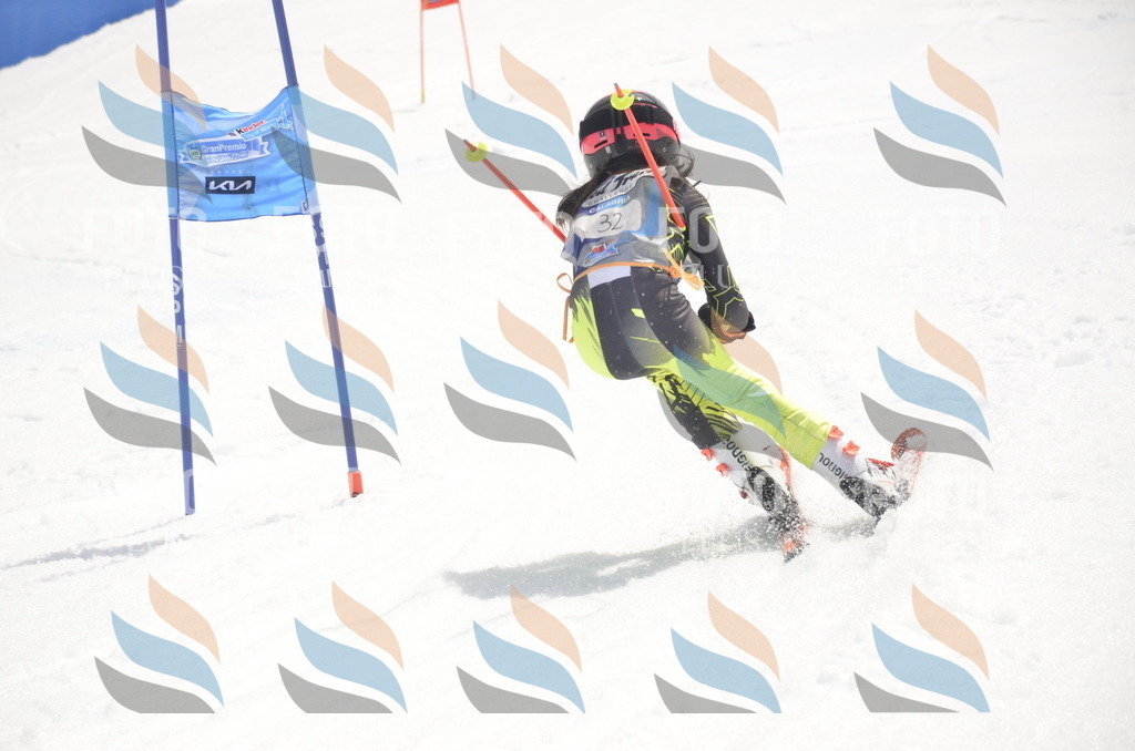 _ELE8944 | holidayphoto