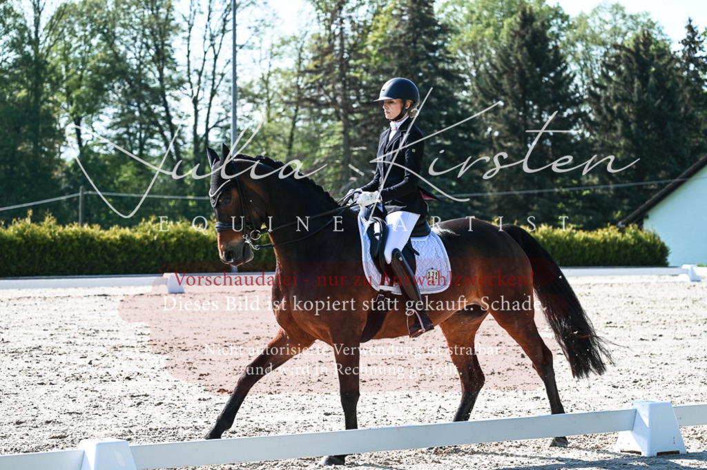 20230514_JK-Röhrsdorf-18-222 | Pferde- und Turnierfotografie in Westsachsen. Pferdeportraits, Auftragszeichnungen und intuitive Kunst.
