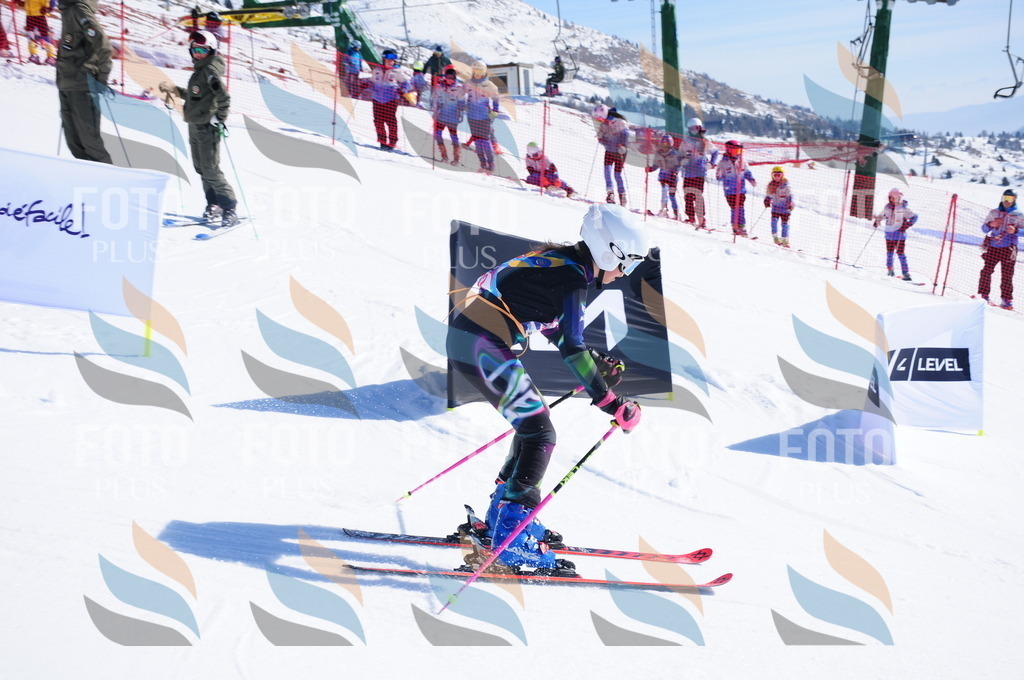 DSC_3947 | holidayphoto