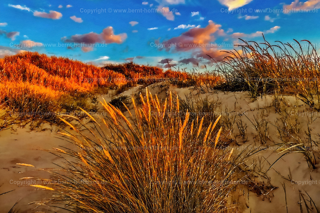 PDM2_3810_DK_Roem_Duene_120x80 | DIGITALKUNST. Dünengräser im Abendlicht. __ Dünenvegetation in der Abendsonne am Strand von Lakolk auf der dänischen Nordsee -Insel Röm.. __ Druckbar ist dieses Bild aber auch in vielen kleineren Formaten sowie in frei wählbaren Bildausschnitten. - Realisiert mit Pictrs.com