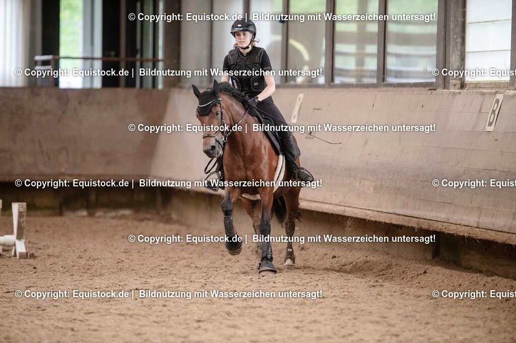 20250725_Vielseitigkeitslehrgang-Marbach_0683 | Foto: Thomas Hartig